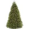 9 ft. Pre-Lit Dunhill Fir Tree with Clear Lights