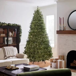 9 ft. Pre-Lit Dunhill Fir Tree with 900 Clear Lights