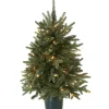 3 ft. Pre-Lit Everyday Collection Tree with Clear Lights