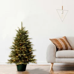 3 ft. Pre-Lit Everyday Collection Tree with Clear Lights