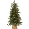 4 ft. Pre-Lit Everyday Collection Tree with Clear Lights