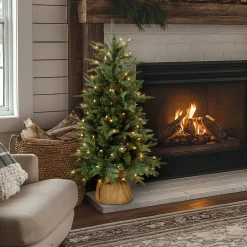 4 ft. Pre-Lit Everyday Collection Tree with Clear Lights