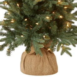 4 ft. Pre-Lit Everyday Collection Tree with Clear Lights