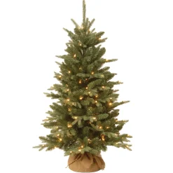 4 ft. Pre-Lit Everyday Collection Tree with Clear Lights