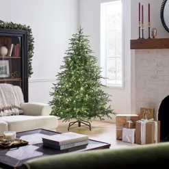 6 ft. Pre-Lit Fraser Grande with Dual Color LED Lights