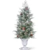 4 ft. Pre-Lit Frosted Mountain Spruce Tree with Clear Lights