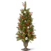 4 ft. Pre-Lit Frosted Pine Berry Tree with Clear Lights
