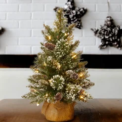 2 ft. Pre-Lit Glittery Bristle Tree with LED Lights