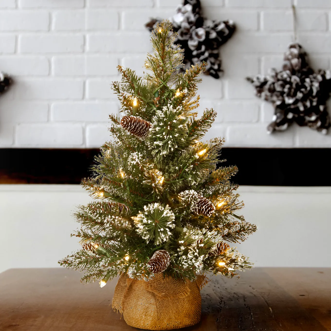 2 ft. Pre-Lit Glittery Bristle Tree with LED Lights