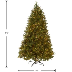 6.5 ft. Pre-Lit Jersey Fraser Fir Medium Tree with Clear Lights
