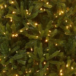 6.5 ft. Pre-Lit Jersey Fraser Fir Medium Tree with Dual Color LED Lights