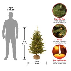 4 ft. Pre-Lit Kensington Fir Tree in a Burlap Sack with Clear Lights