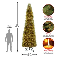 14 ft. Pre-Lit Kingswood Fir Pencil Tree with Clear Lights