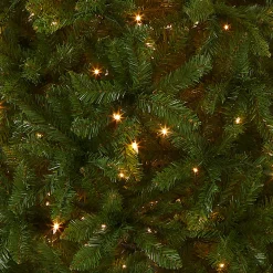 7.5 ft. Pre-Lit Kingswood Fir Pencil Tree with Clear Lights