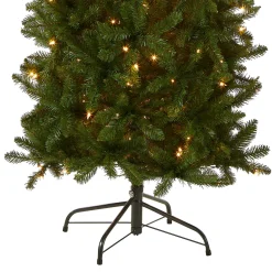 6.5 ft. Pre-Lit Kingswood Fir Pencil Tree with Clear Lights