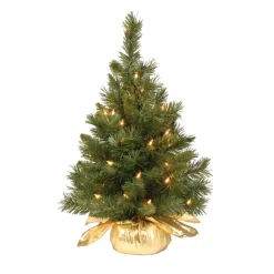 2 ft. Pre-Lit Majestic Fir Tree with Clear Lights, Gold Base