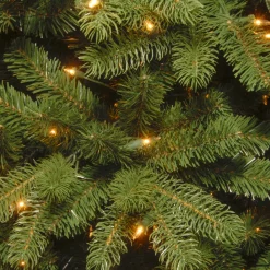 5 ft. Pre-Lit Newberry Spruce Tree with Clear Lights