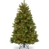 5 ft. Pre-Lit Newberry Spruce Tree with Dual Color LED Lights