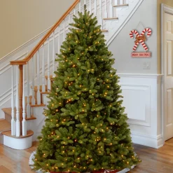 9 ft. Pre-Lit Newberry Spruce Tree with Clear Lights