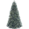 7 ft. Pre-Lit North Valley Spruce Blue Tree with Clear Lights