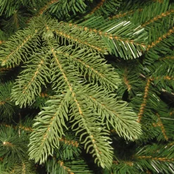 6.5 ft. Pre-Lit Norwegian Spruce Tree with Clear Lights