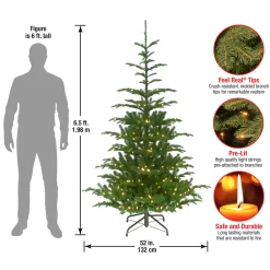 6.5 ft. Pre-Lit Norwegian Spruce Tree with Clear Lights