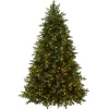 6.5 ft. Pre-Lit Princeton Fraser Fir Tree with PowerConnect Dual Color LED Lights