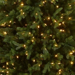 6.5 ft. Pre-Lit Princeton Fraser Fir Tree with PowerConnect Dual Color LED Lights