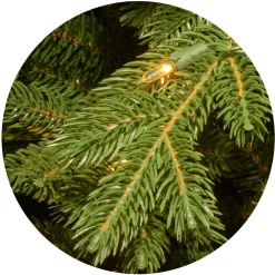 7.5 ft. Pre-Lit Princeton Fraser Fir Tree with PowerConnect and 1000 Dual Color LED Lights