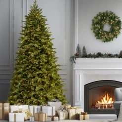 9 ft. Pre-Lit Princeton Fraser Fir with PowerConnect Dual Color LED Lights