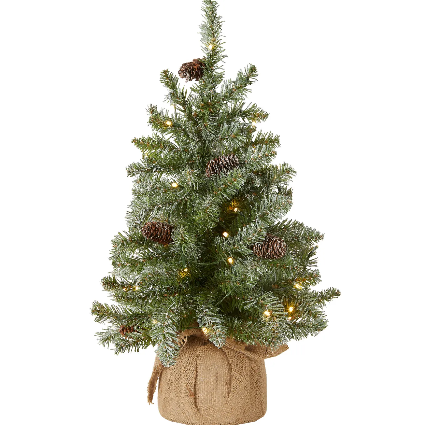 2 ft. Pre-Lit Snowy Concolor Fir Tree with LED Lights