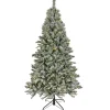 7.5 ft. Pre-Lit Snowy Harwich Tree with PowerConnect Warm White LED Lights