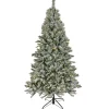 6.5 ft. Pre-Lit Snowy Harwich Hinged Tree with PowerConnect Warm White LED Lights