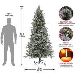7.5 ft. Pre-Lit Snowy Poechmann Fir Tree with LED Lights