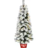 5 ft. Pre-Lit Snowy Pogue Pine Slim Tree with LED Lights