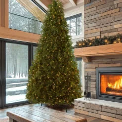 10 ft.Pre-Lit Dunhill Fir Tree with PowerConnect Dual Color LED Lights