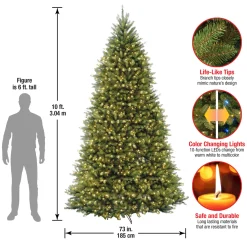 10 ft.Pre-Lit Dunhill Fir Tree with PowerConnect Dual Color LED Lights