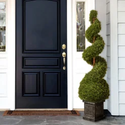 48 in. Cedar Spiral Topiary Tree with Ball in a Black Square Pot
