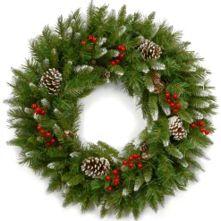 24 in. Frosted Berry Wreath