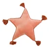 16 in. HGTV Home Collection Star Shape Pillow, Blush