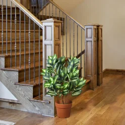 30 in. Hosta Topiary Plant in Brown Round Growers Pot