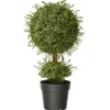 30 in. Mini Tea Leaf 1 Ball in Green Round Growers Pot