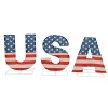 18 in. Patriotic USA Outdoor Light up Lawn Decor with LED Lights