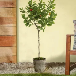 41 in. Potted Orange Topiary Tree