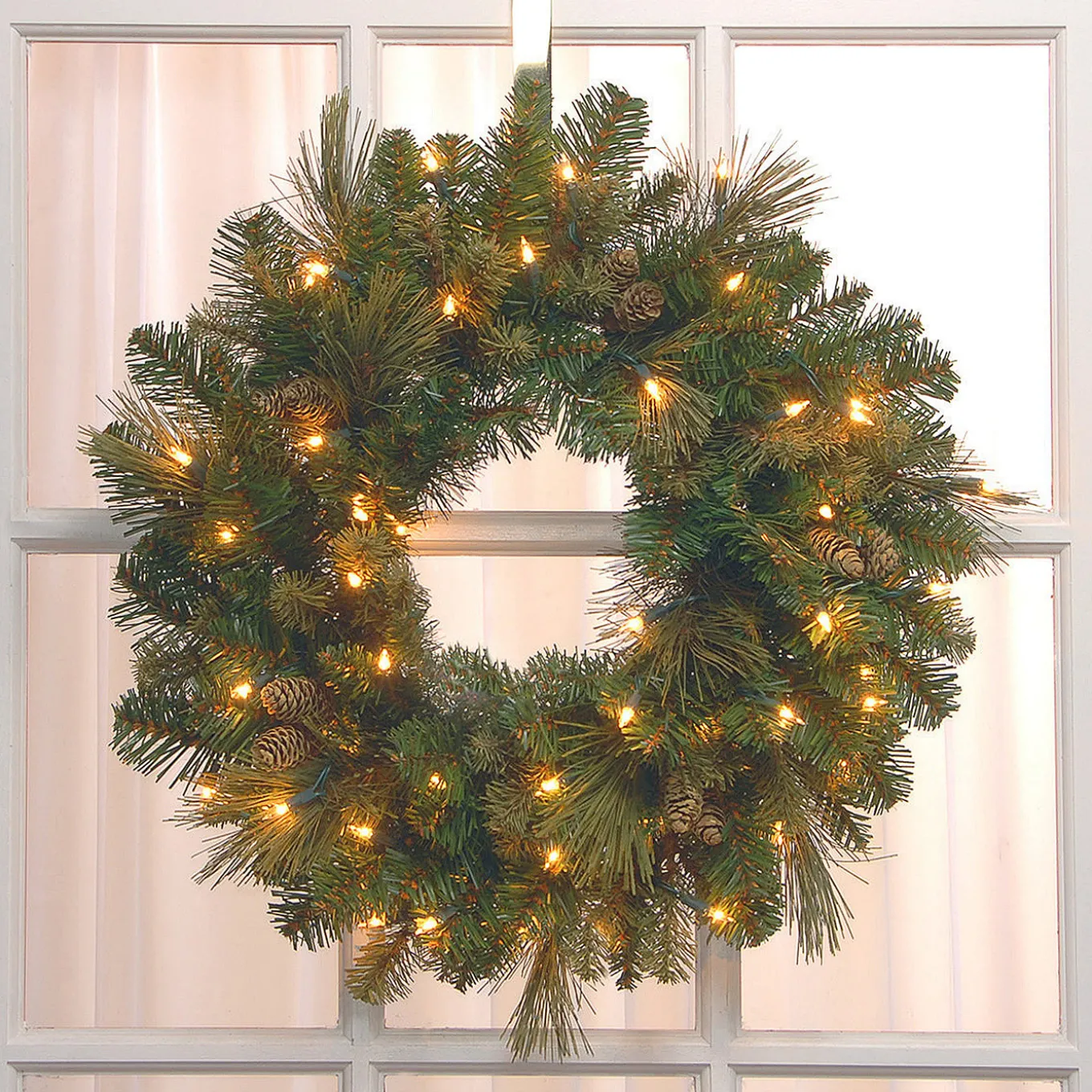 24 in. Pre-Lit Carolina Pine Wreath with LED Lights