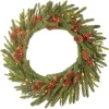 24 in. Pre-Lit Dorchester Fir Wreath with LED Lights