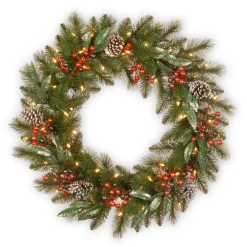 24 in. Pre-Lit Frosted Pine Berry Wreath with LED Lights