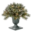 24 in. Pre-Lit Glittery Bristle Pine Porch Bush with Twinkly LED Lights