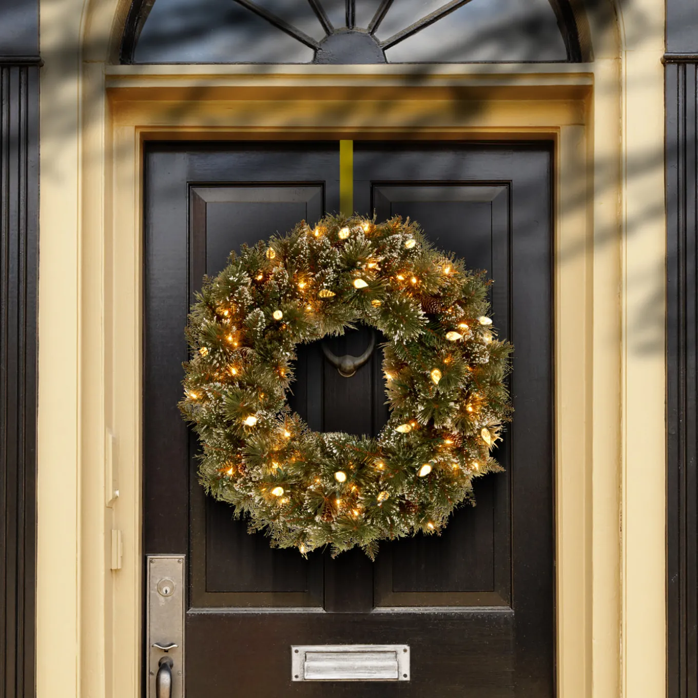 24 in. Pre-Lit Glittery Bristle Pine Wreath with Warm White LED Lights