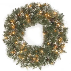 24 in. Pre-Lit Glittery Bristle Pine Wreath with LED Lights